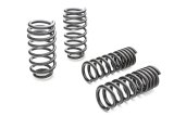 Eibach Pro-Kit for 11-12 Dodge Challenger R/T 5.7L Hemi V8 / 11 Challenger SRT-8 6.4L Hemi V8 thumbnail 5