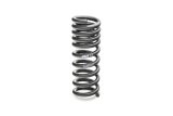 Eibach Pro-Kit for 11-12 Dodge Challenger R/T 5.7L Hemi V8 / 11 Challenger SRT-8 6.4L Hemi V8 thumbnail 6