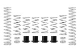 Eibach Pro-UTV 17-19 Polaris RZR XP1000 2-Seat EPS Stage 2 Performance Springs thumbnail 1