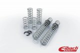 Eibach Pro-UTV 17-19 Polaris RZR XP1000 2-Seat EPS Stage 2 Performance Springs thumbnail 3
