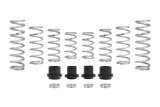Eibach Pro-UTV 2020 Polaris RZR Pro XP (4 Seat Ultimate) Stage 3 Performance Springs thumbnail 2