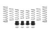 Eibach Pro-UTV 18-20 Polaris RZR XP 4-Seat 1000 Stage 2 Performance Springs (Set of 8 Springs) thumbnail 2