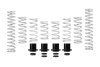 Eibach Pro-UTV 19-20 Polaris RZR XP 1000 Turbo 2-Seat Stage 3 HD Performance Spring System thumbnail 5