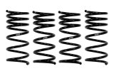 Eibach Pro-Kit 66-76 BMW 2002 thumbnail 1