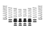 Eibach 18-20 Polaris RZR XP 4 Turbo (Fox Pro-UTV) Stage 2 Performance Spring System Set Of 8 Springs thumbnail 3