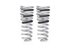 Eibach 14-21 Ram 2500 Diesel 4WD Pro-Truck Rear Springs thumbnail 5