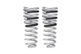Eibach 14-21 Ram 2500 Diesel 4WD Pro-Truck Rear Springs thumbnail 6