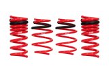 Eibach Sportline Kit for 07-08 Ford Shelby GT500 Coupe thumbnail 4