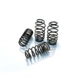 Eibach Pro-Kit for 06-09 Dodge Charger 2WD thumbnail 8