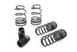 Eibach Pro-Kit for 07-08 Ford Shelby GT500 Convertible/Coupe thumbnail 4