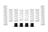 Eibach Pro-UTV 21-23 Honda Talon 1000R Stage 2 Performance Springs thumbnail 2