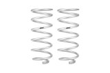 Eibach 01-07 Toyota Sequoia SUV 4WD Pro-Lift Kit Rear Springs Only - Set of 2 thumbnail 2