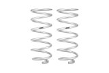 Eibach 01-07 Toyota Sequoia SUV 4WD Pro-Lift Kit Rear Springs Only - Set of 2 thumbnail 6