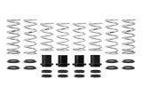 Eibach 15-16 Polaris RZR Pro-UTV - Stage 2 Performance Spring System (Set Of 8 Springs) thumbnail 1