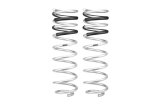 Eibach 21-23 Ford F150 Raptor Pro-Lift-Kit HD Rear Springs (Designed to Use OE Fox Electronic Shock) thumbnail 1