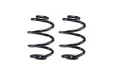 Eibach 06-10 Volkswagen Passat FWD B6/B7 2.0L Turbo Single Front Spring thumbnail 1