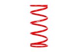 Eibach ERS 14.00 in. Length x 5 in. OD Conventional Rear Springs thumbnail 2