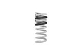 Eibach 15-17 Ford Mustang GT Coupe S550 Drag-Launch-Kit (Set of 4 Springs) thumbnail 5