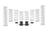 Eibach Pro UTV Stage 3 (Extra Load) kit for Walker Evans OE Shocks thumbnail 1