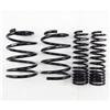 RS-R 08+ Mitsubishi Evolution X (CZ4A) Down Sus Springs thumbnail 3