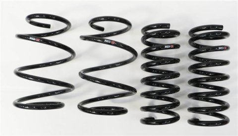 RS-R 10+ Nissan Quest (PE52) Down Sus Springs thumbnail 1