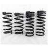 RS-R 05-13 Lexus IS250/350 RWD (GSE20/GSE21) Down Sus Springs thumbnail 3