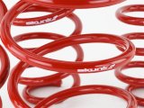 Skunk2 16-17 Honda Civic Lowering Springs (1.375in - 1.25in) (Set of 4) thumbnail 2