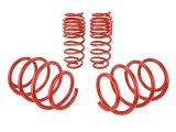 Skunk2 16-17 Honda Civic Lowering Springs (1.375in - 1.25in) (Set of 4) thumbnail 3