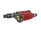 Skunk2 92-95 Honda Civic / 94-01 Acura Integra Pro-ST Coilovers (Front 10 kg/mm - Rear 10 kg/mm) thumbnail 5