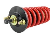 Skunk2 92-95 Honda Civic / 94-01 Acura Integra Pro-ST Coilovers (Front 10 kg/mm - Rear 10 kg/mm) thumbnail 6