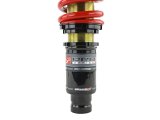 Skunk2 96-00 Honda Civic Pro-ST Coilovers (Front 10 kg/mm - Rear 10 kg/mm) thumbnail 2