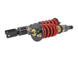 Skunk2 96-00 Honda Civic Pro-ST Coilovers (Front 10 kg/mm - Rear 10 kg/mm) thumbnail 5