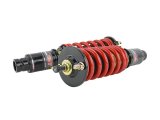Skunk2 96-00 Honda Civic Pro-ST Coilovers (Front 10 kg/mm - Rear 10 kg/mm) thumbnail 6