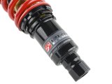 Skunk2 88-91 Honda Civic/CRX Pro-ST Coilovers (Front 10 kg/mm - Rear 8 kg/mm) thumbnail 2