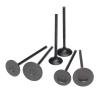 Skunk2 Pro Series Honda/Acura Stock Size B Series DOHC VTEC Intake Valve (Standard Compression) thumbnail 2