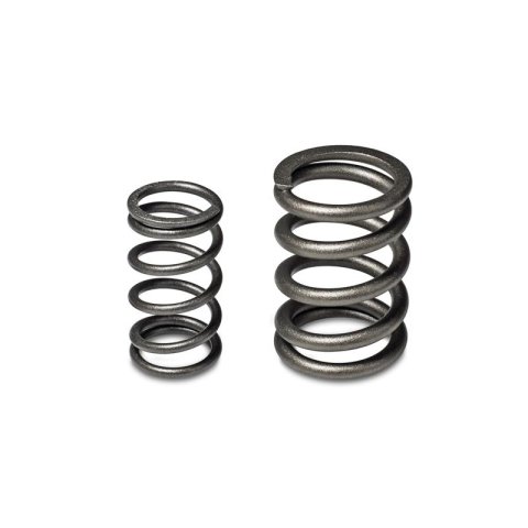 Skunk2 Tuner Series Honda/Acura (B16A/ B17A/ B18C) DOHC VTEC Alpha Valve Spring Set (Dual Springs) thumbnail 1