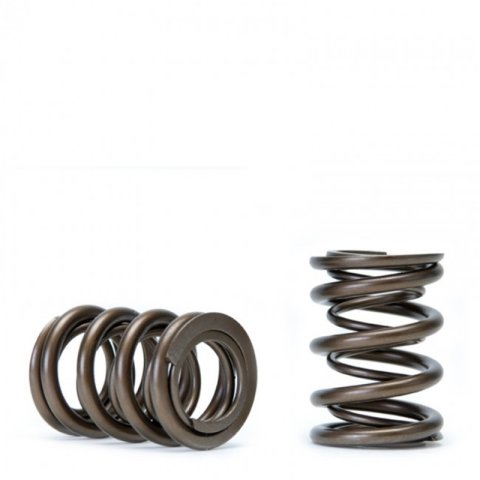Skunk2 Tuner Series Honda/Acura (B16A/ B17A/ B18C) DOHC VTEC Alpha Valve Spring Set (Dual Springs) thumbnail 4