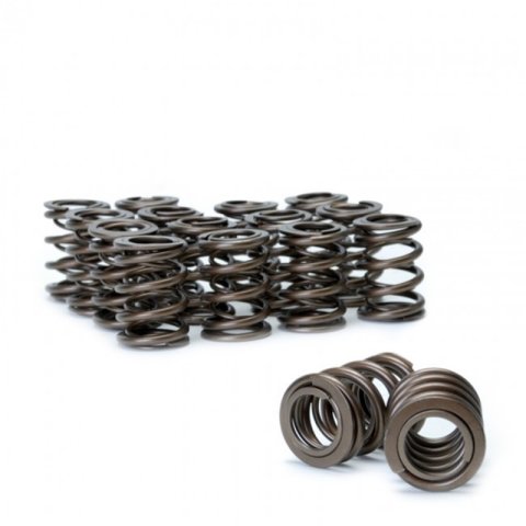 Skunk2 Tuner Series Honda/Acura (B16A/ B17A/ B18C) DOHC VTEC Alpha Valve Spring Set (Dual Springs) thumbnail 5