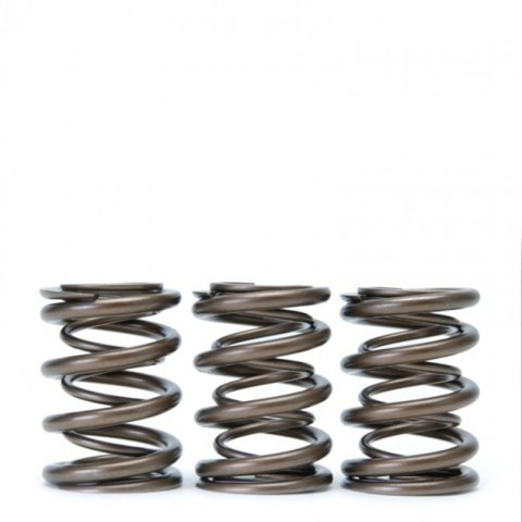 Skunk2 Tuner Series Honda/Acura (B16A/ B17A/ B18C) DOHC VTEC Alpha Valve Spring Set (Dual Springs) thumbnail 7