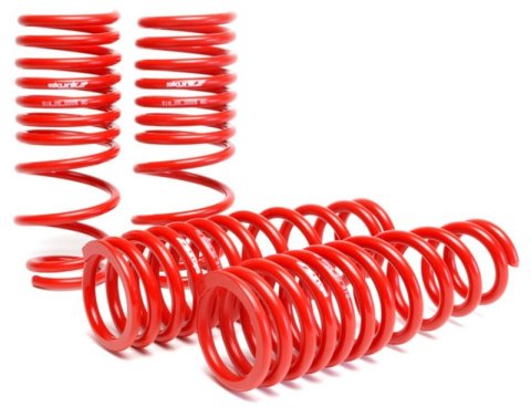 Skunk2 92-95 Honda Civic/Del Sol Lowering Springs (2.50in - 2.25in.) (Set of 4) thumbnail 2
