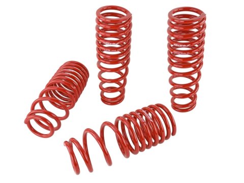 Skunk2 92-95 Honda Civic/Del Sol Lowering Springs (2.50in - 2.25in.) (Set of 4) thumbnail 8