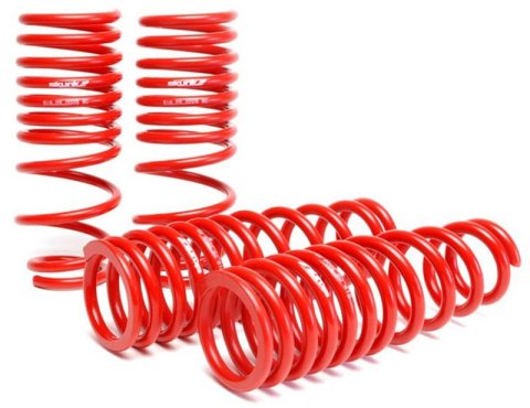 Skunk2 96-00 Honda Civic Lowering Springs (2.50in - 2.25in.) (Set of 4) thumbnail 1