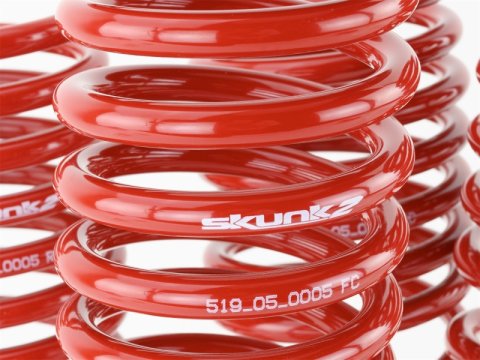 Skunk2 96-00 Honda Civic Lowering Springs (2.50in - 2.25in.) (Set of 4) thumbnail 4