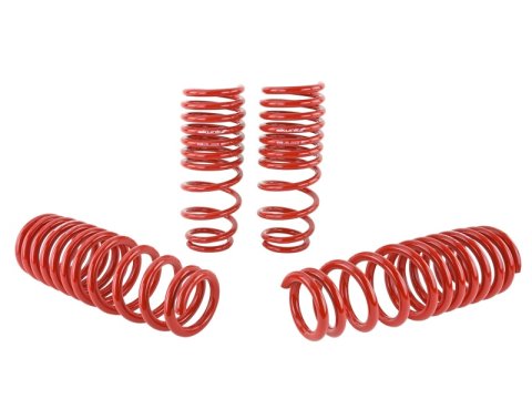 Skunk2 96-00 Honda Civic Lowering Springs (2.50in - 2.25in.) (Set of 4) thumbnail 6