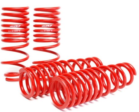 Skunk2 94-01 Acura Integra Lowering Springs (2.50in - 2.25in.) (Set of 4) thumbnail 2