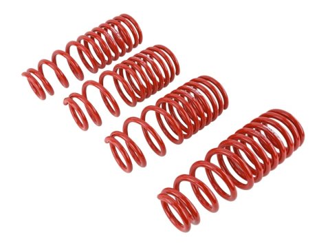 Skunk2 94-01 Acura Integra Lowering Springs (2.50in - 2.25in.) (Set of 4) thumbnail 5