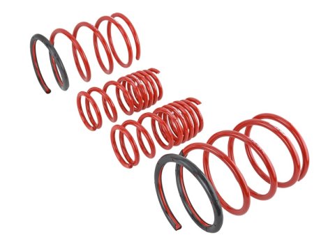 Skunk2 01-05 Honda Civic Lowering Springs (2.25in - 2.00in.) (Set of 4) thumbnail 3