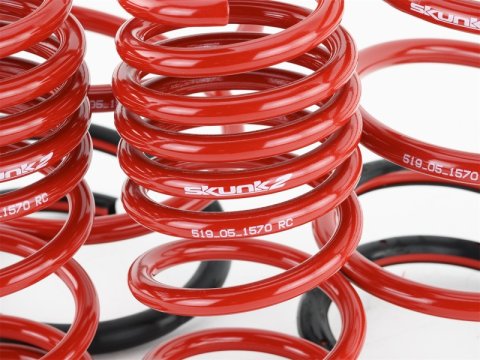 Skunk2 01-05 Honda Civic Lowering Springs (2.25in - 2.00in.) (Set of 4) thumbnail 6