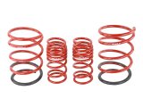 Skunk2 02-05 Honda Civic Si Hatchback Lowering Springs (2.25in - 2.00in.) (Set of 4) thumbnail 4