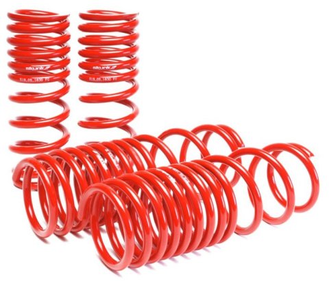Skunk2 90-97 Honda Accord (All Models) Lowering Springs (2.00in. - 1.80in.) (Set of 4) thumbnail 2